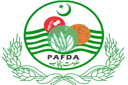 Pepda Lahore
